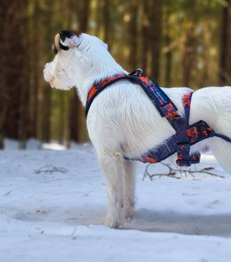 Bilde av VIP Dogwear HUNTING multisport sele Hunting